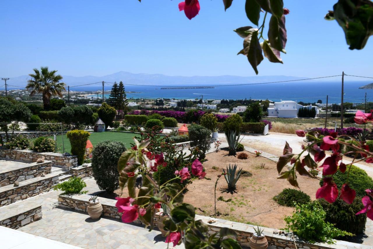 Dryades Family Hotel Drios Exterior foto